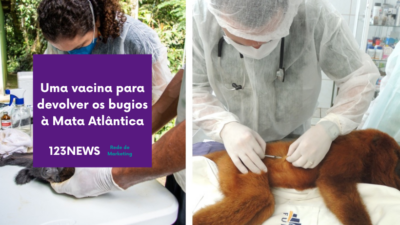 Uma vacina para devolver os bugios à Mata Atlântica