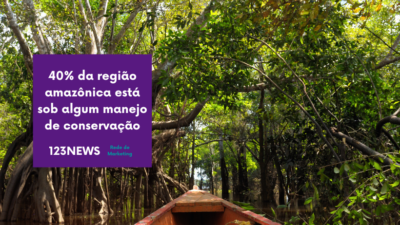 40% da região amazônica está sob algum manejo de conservação