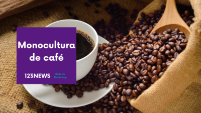 Monocultura de café