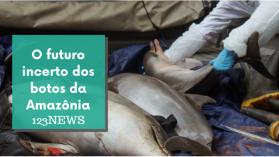 O futuro incerto dos botos da Amazônia