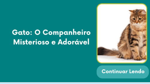Gato: O Companheiro Misterioso e Adorável