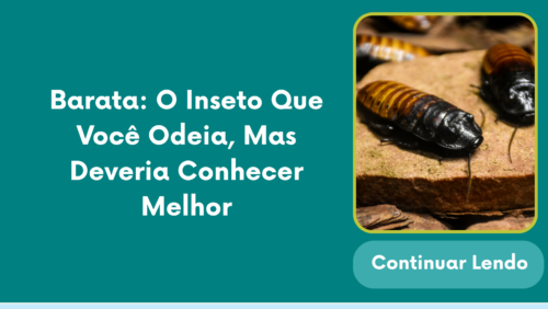 Barata: O Inseto Que Você Odeia, Mas Deveria Conhecer Melhor
