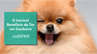 O Incrível Benefício de Ter um Cachorro
