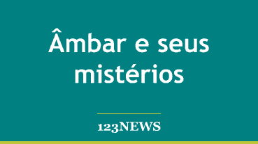 Âmbar e seus mistérios