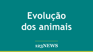 Evolução dos animais