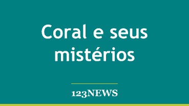 Coral e seus mistérios