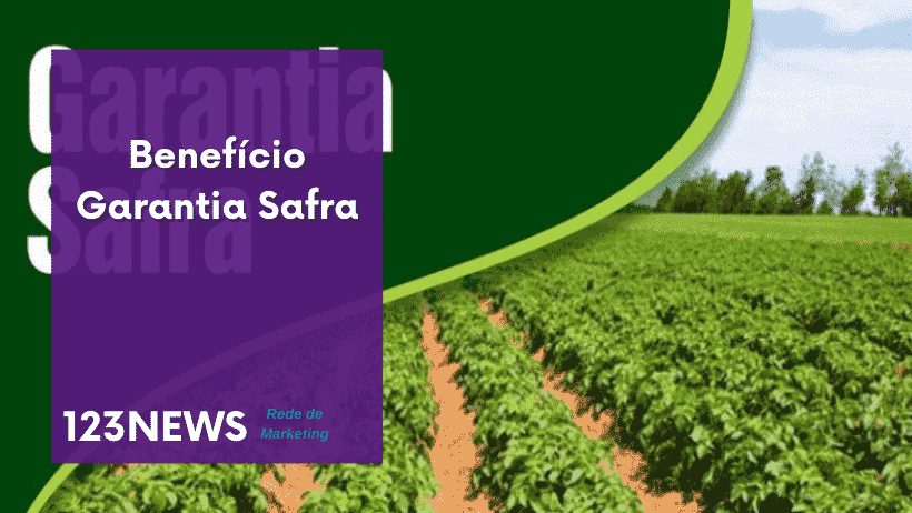 garantia safra