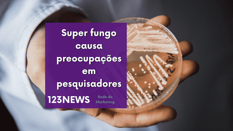super fungo