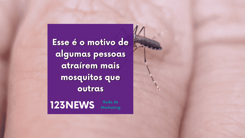 mosquitos