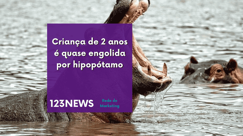 hipopótamo