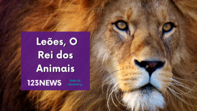 Leões