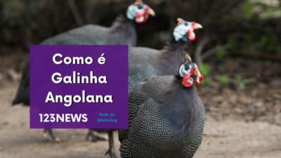 Galinha