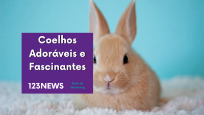Coelhos