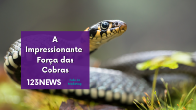 Cobras