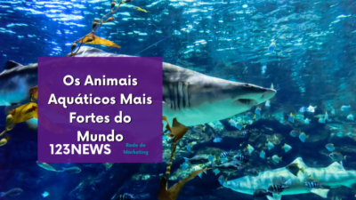 Aquáticos