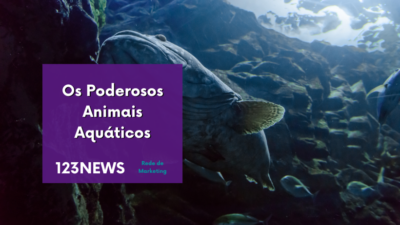 Animais Aquáticos