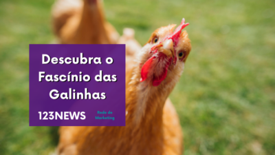 Galinhas