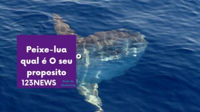 Peixe-lua