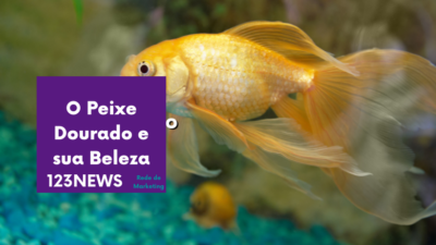 O Peixe Dourado