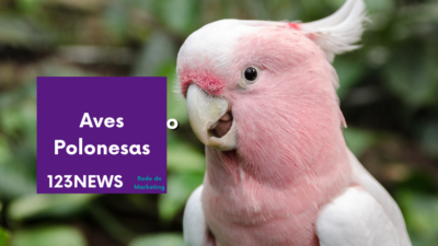 Aves Polonesas
