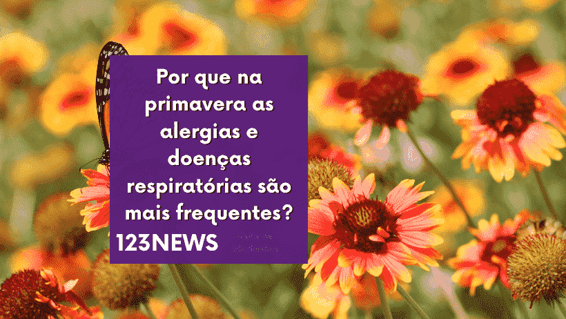 primavera