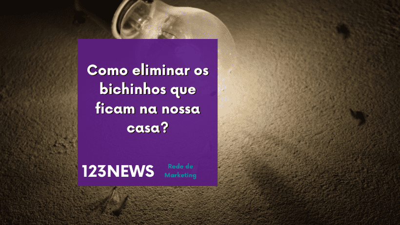 bichinhos