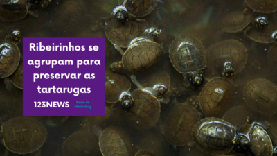 Tartarugas
