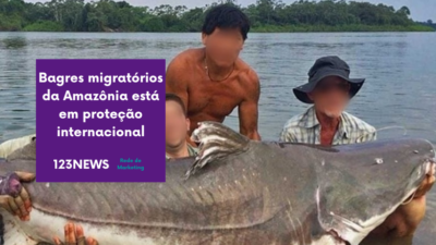 Amazônia
