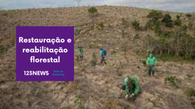 Restauração