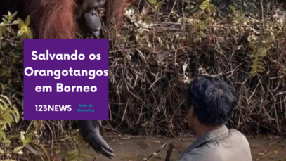 Orangotangos