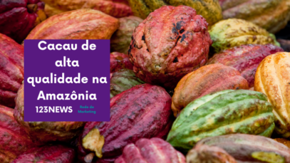 Cacau