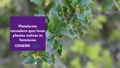 Plataforma