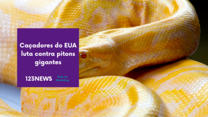 caçadores