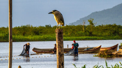 pescadores