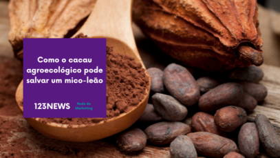 cacau