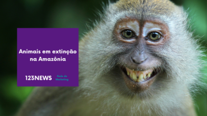 Amazônia