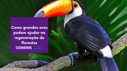 florestas