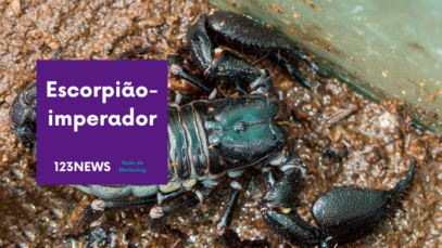 Escorpião