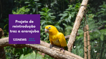 ararajuba