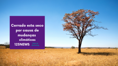 Cerrado