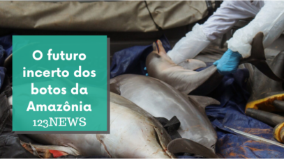 botos