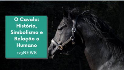 Cavalo