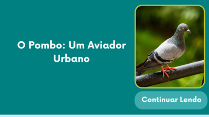pombo