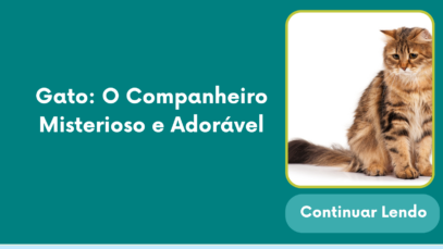gato