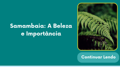 samambaia