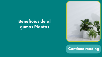 Plantas