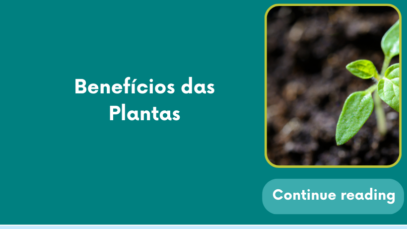 Plantas